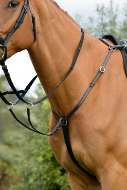 Kincade Classic 3-Punkt Vorderzeug mit laufendem Martingal* Vorderzeuge & Martingale