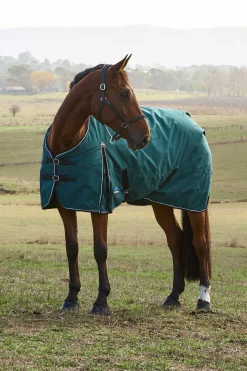 Weatherbeeta ComFiTec Classic Turnout Standard Neck 220G* Mittelschwere & Schwere Winterdecken