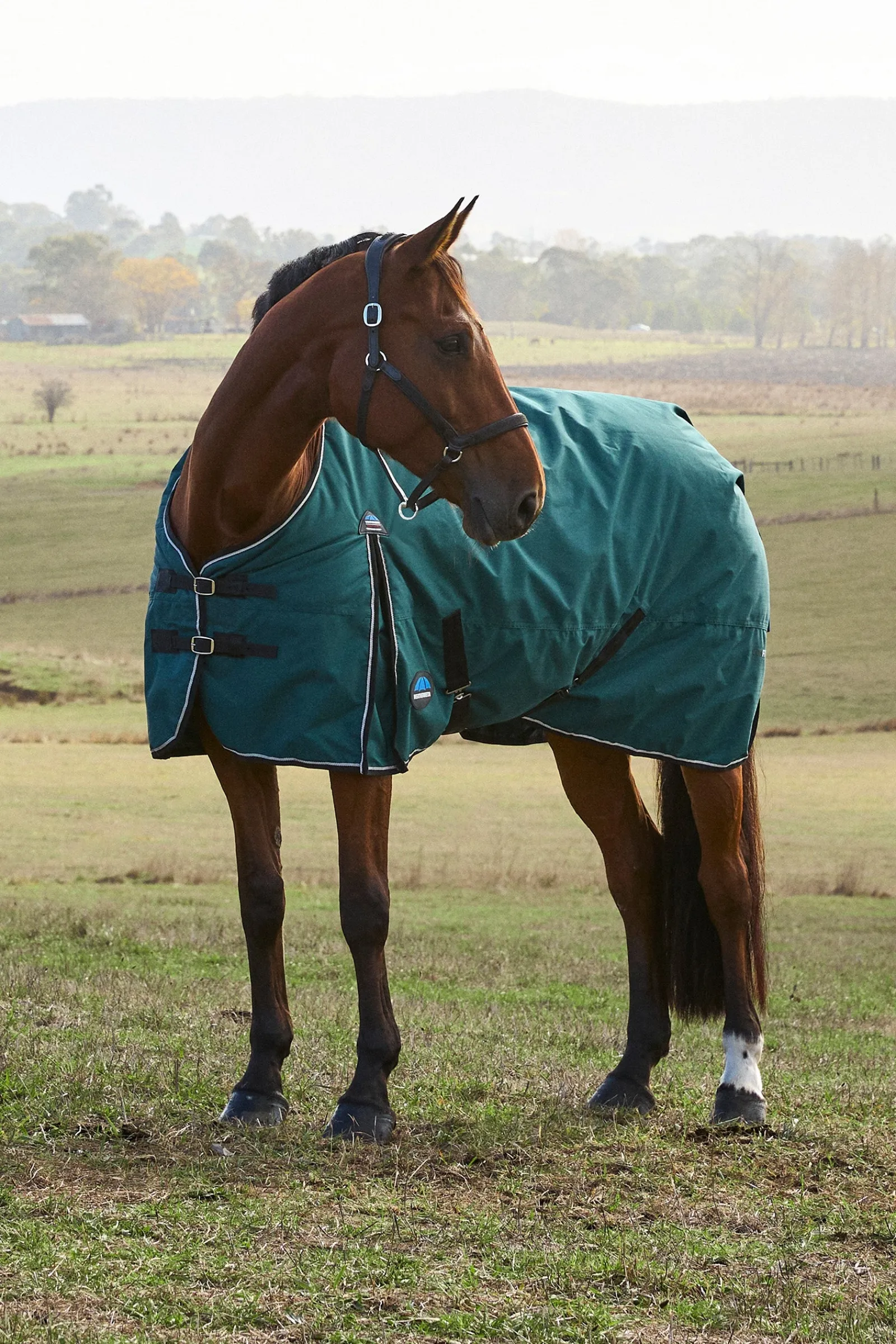 Weatherbeeta ComFiTec Classic Turnout Standard Neck 220G* Mittelschwere & Schwere Winterdecken