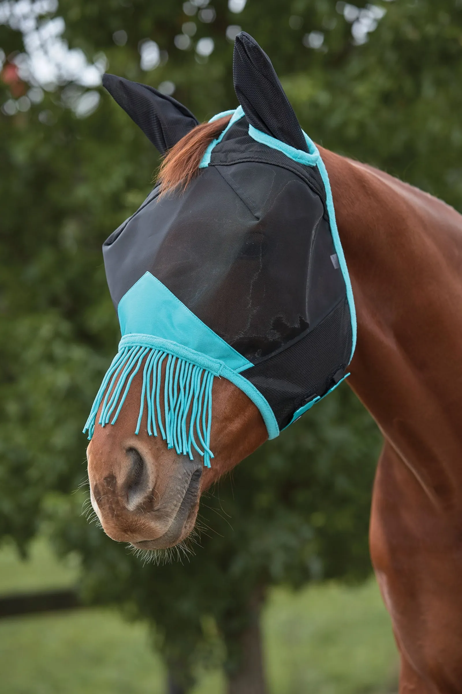 Weatherbeeta Comfitec Deluxe Fine Mesh Fliegenmaske mit Ohren und Fransen* Fliegenmasken & Fliegenfransen