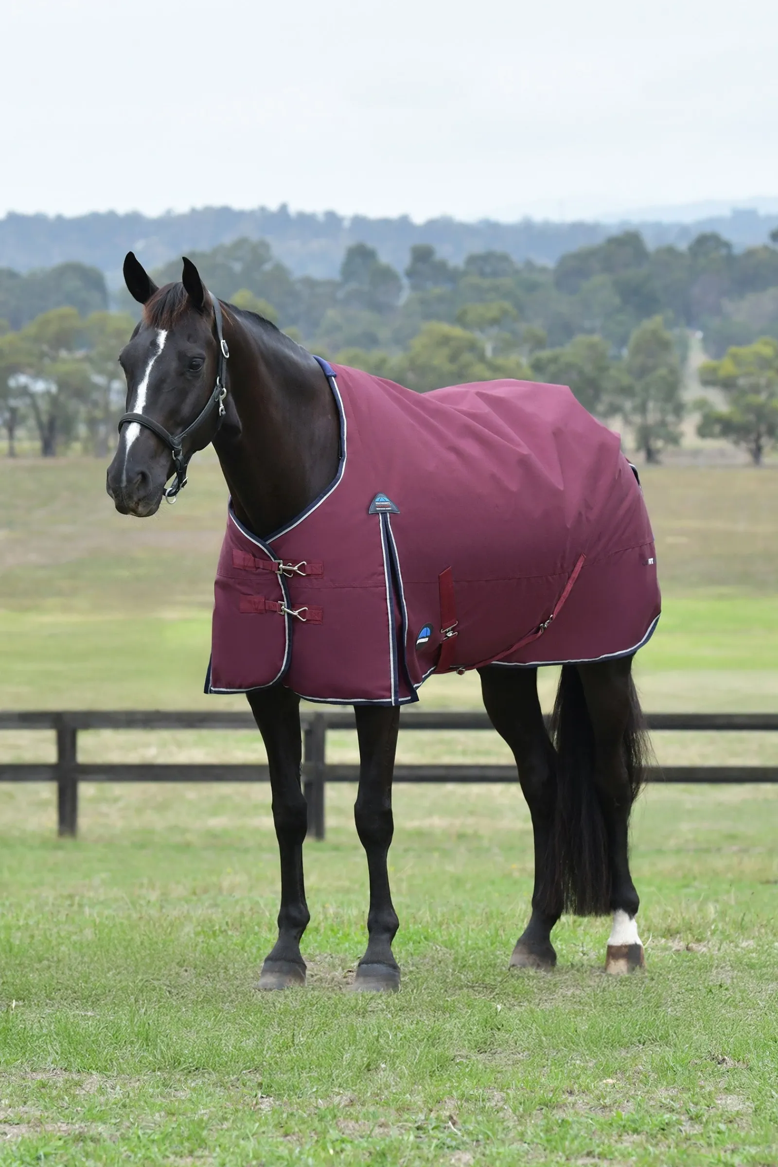 Weatherbeeta ComFiTec Essential Turnout Standard Neck 0G* Leichte Weidedecken
