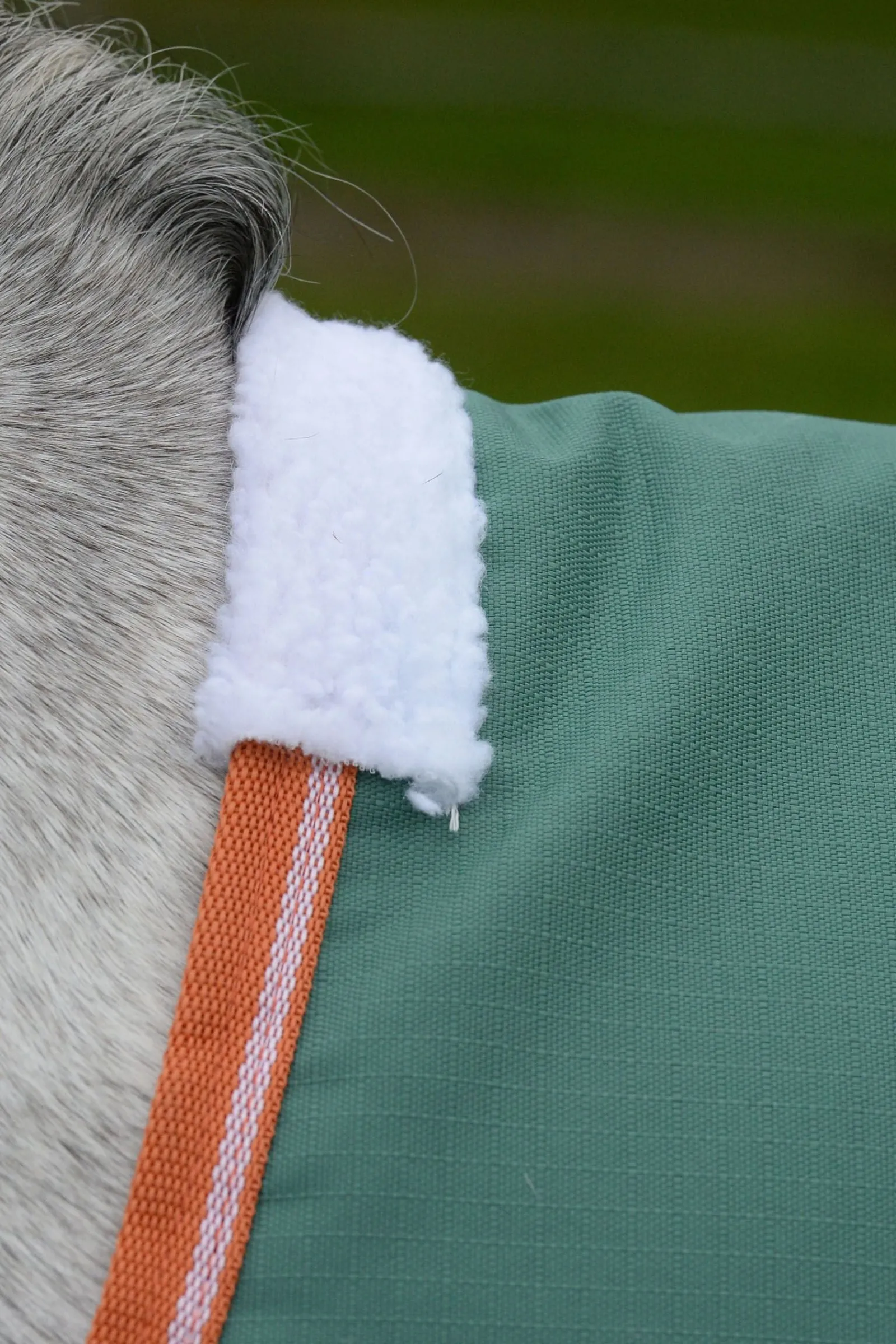 Weatherbeeta Comfitec Tyro mit Standard-Halsausschnitt Lite Plus, 50g* Leichte Weidedecken