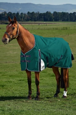 Weatherbeeta ComFiTecPlus Dynamic Turnout Detach-A-Neck 100G* Leichte Weidedecken