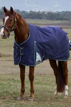 Weatherbeeta ComFiTecPlus Dynamic Turnout Standard Neck 0G* Leichte Weidedecken