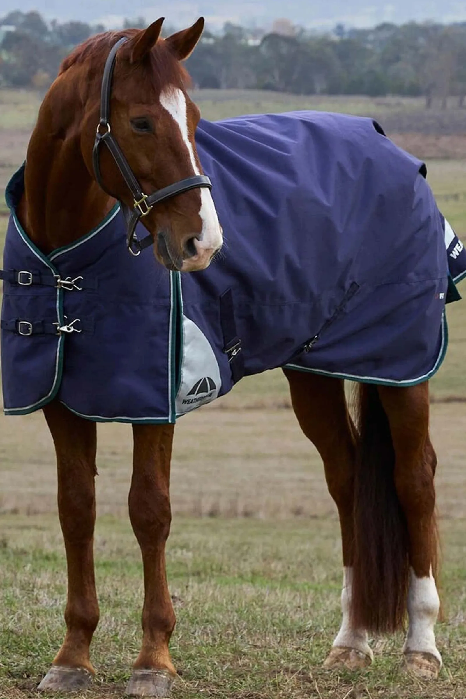 Weatherbeeta ComFiTecPlus Dynamic Turnout Standard Neck 0G* Leichte Weidedecken
