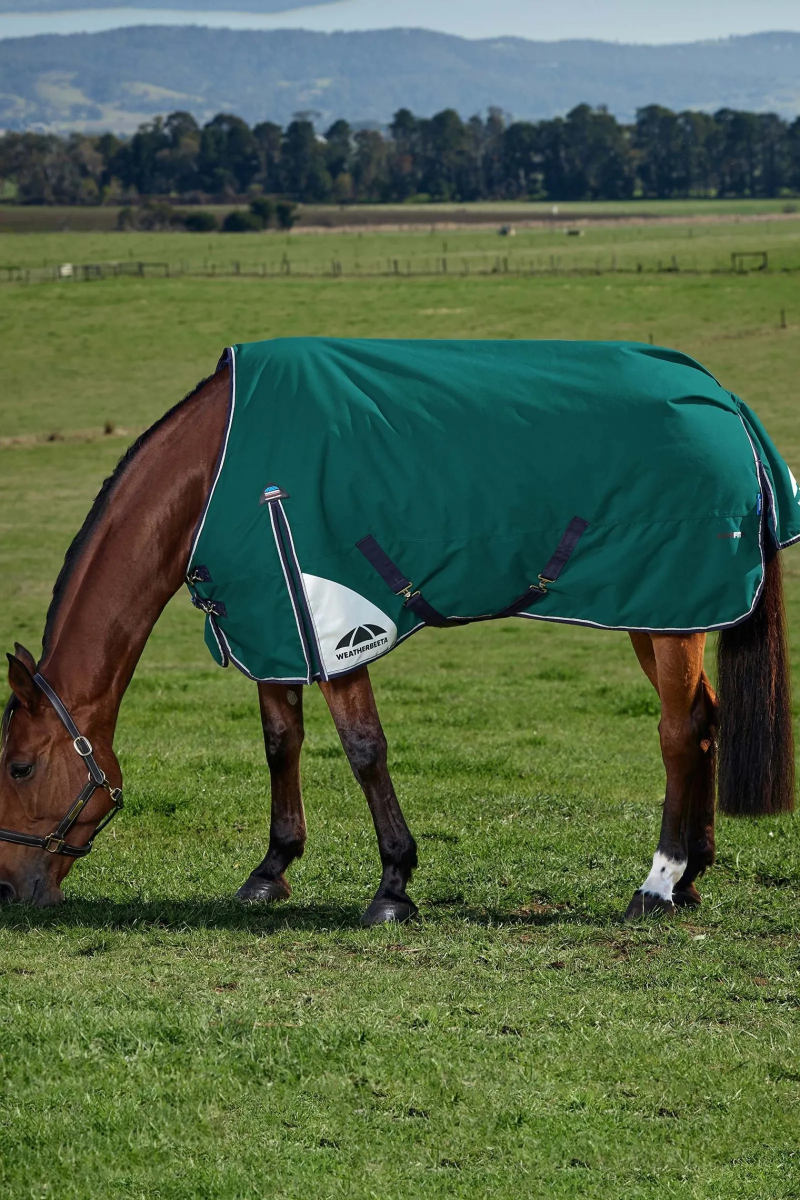 Weatherbeeta ComFiTecPlus Dynamic Turnout Standard Neck 0G* Leichte Weidedecken