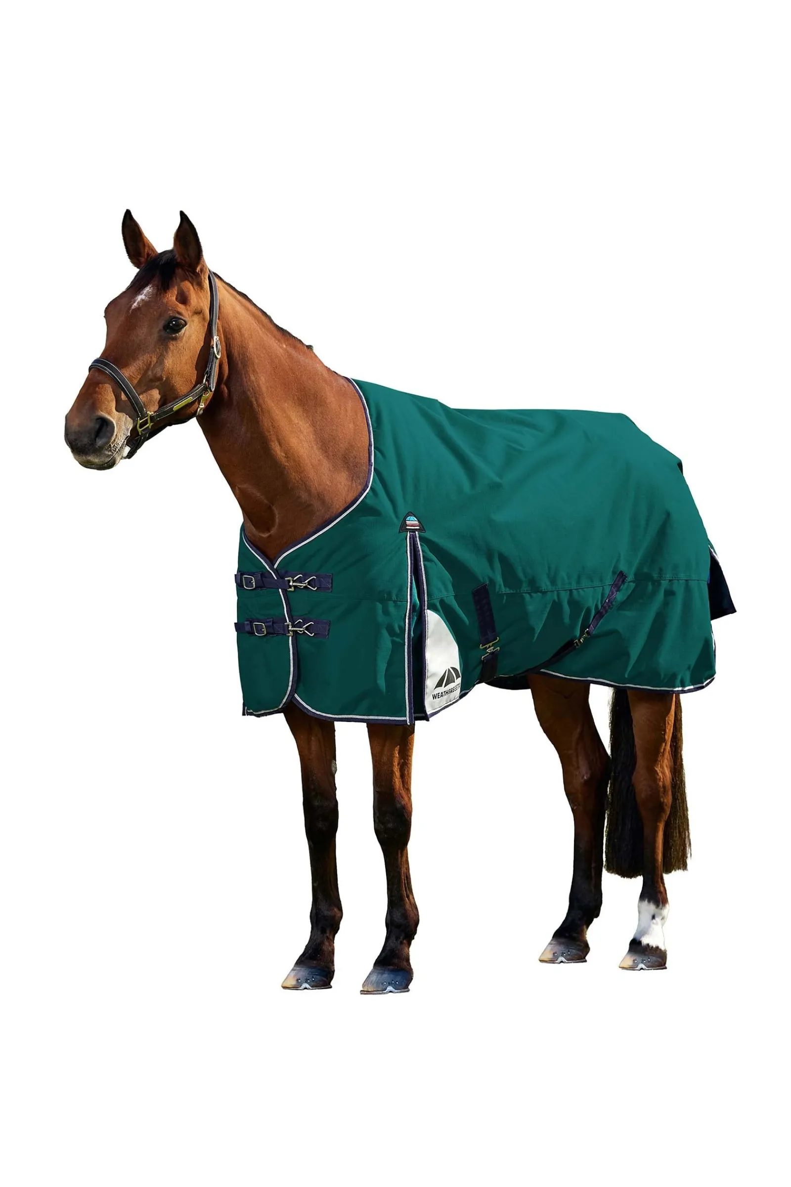 Weatherbeeta ComFiTecPlus Dynamic Turnout Standard Neck 0G* Leichte Weidedecken