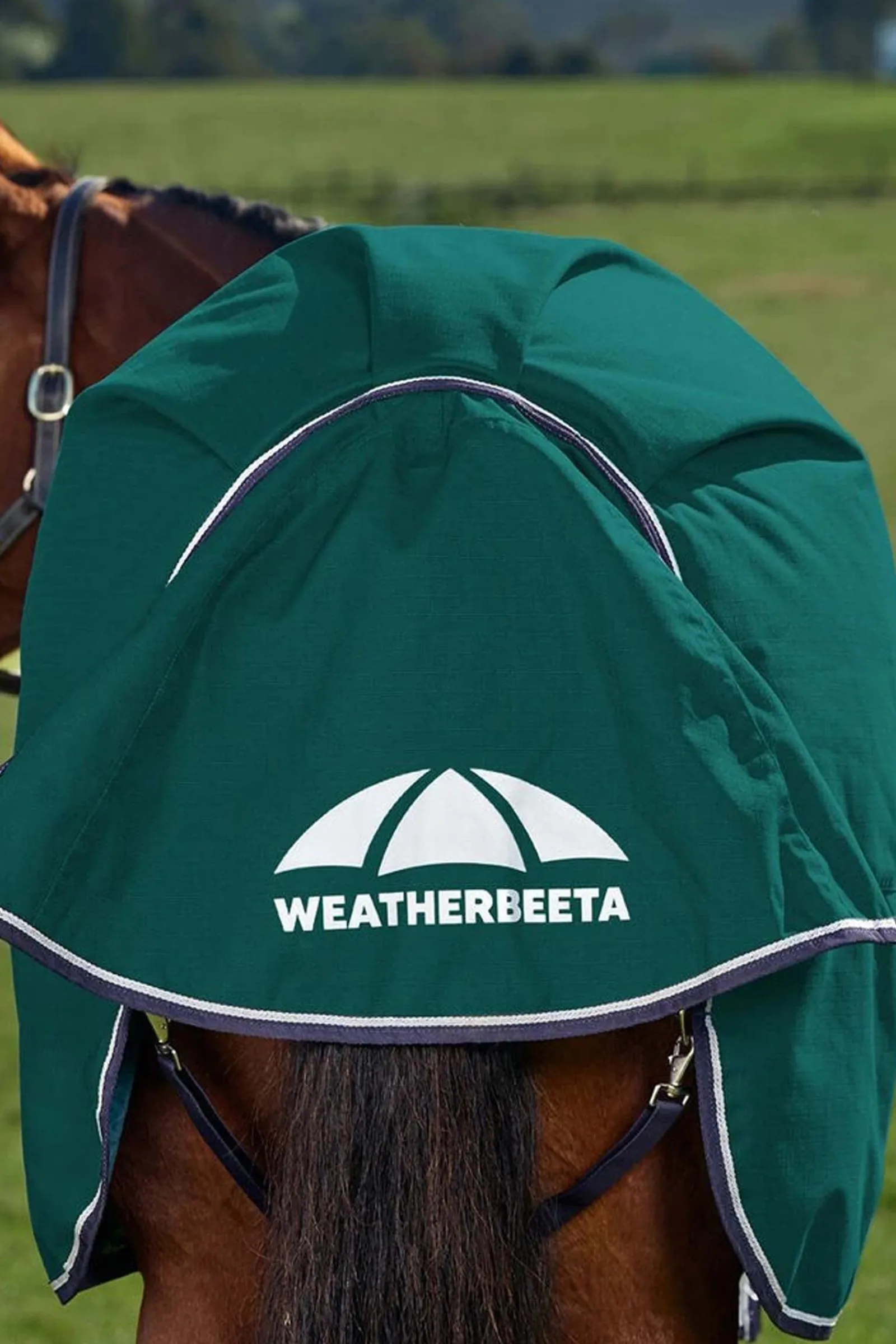 Weatherbeeta ComFiTecPlus Dynamic Turnout Standard Neck 0G* Leichte Weidedecken