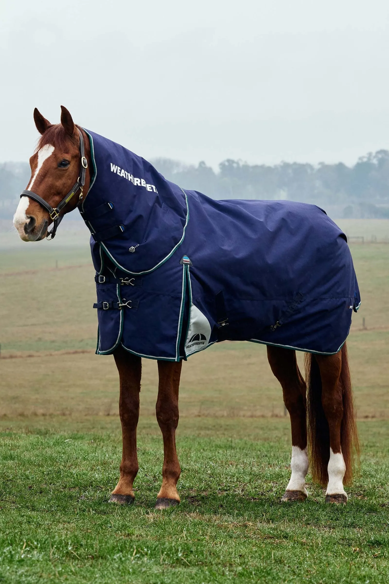Weatherbeeta ComFiTecPlus Dynamic Turnout Detach-A-Neck 220G* Mittelschwere & Schwere Winterdecken
