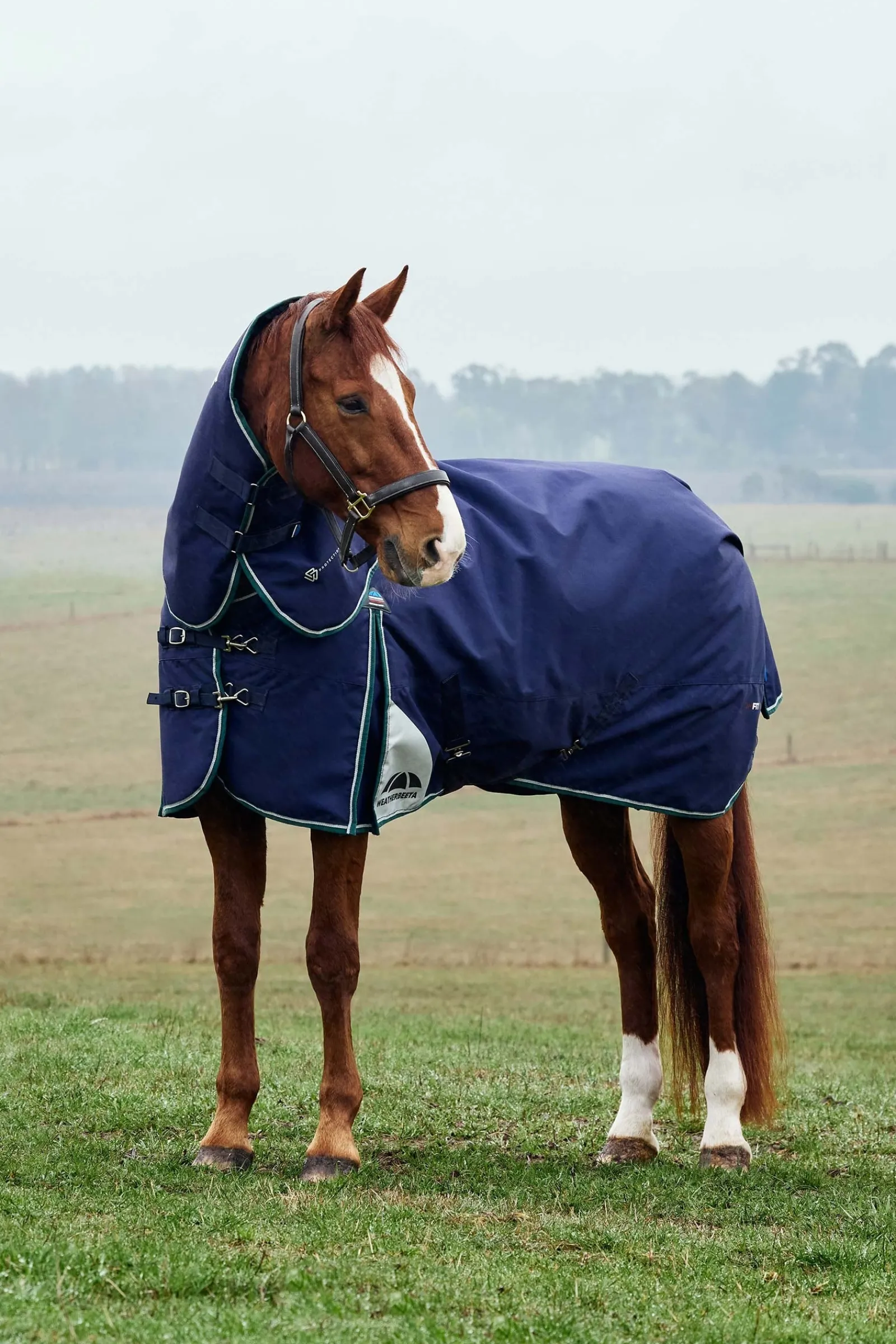 Weatherbeeta ComFiTecPlus Dynamic Turnout Detach-A-Neck 220G* Mittelschwere & Schwere Winterdecken