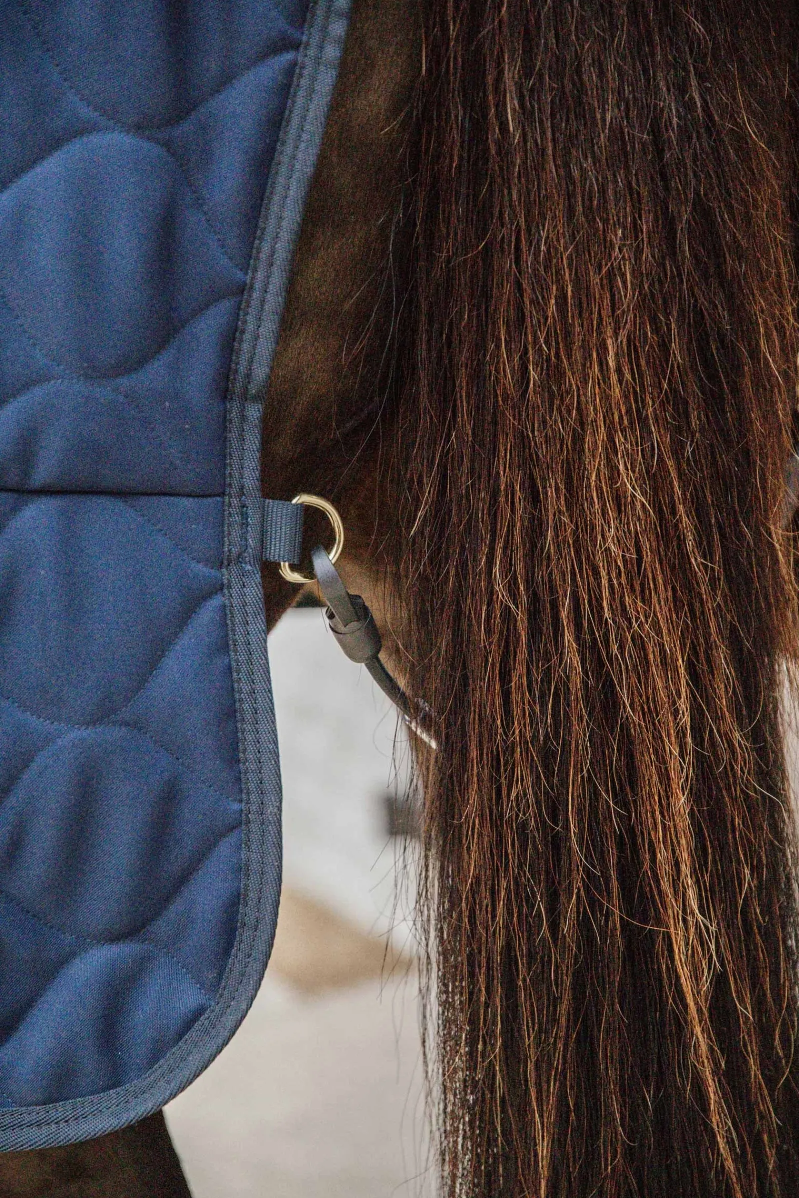 Kentucky Horsewear Comfort Stalldecke 200g* Stall- & Unterdecken