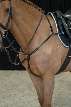 Schockemöhle Sports Como Vorderzeug* Vorderzeuge & Martingale