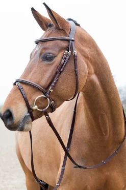 Horze Constance weich unterlegte Trense* Trensen & Nasenriemen