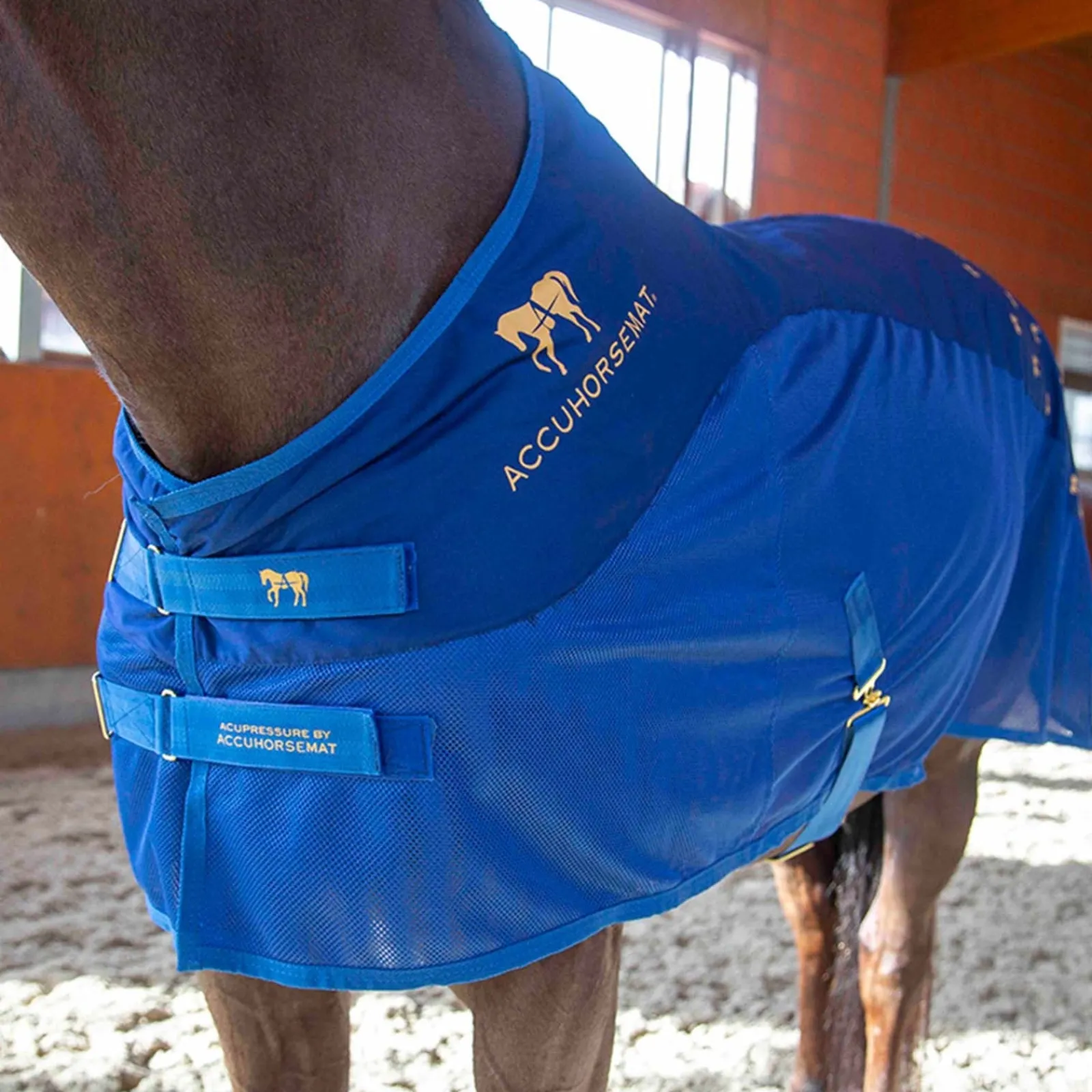 Accuhorsemat Cooler* Therapie-Decken|Therapie-Decken