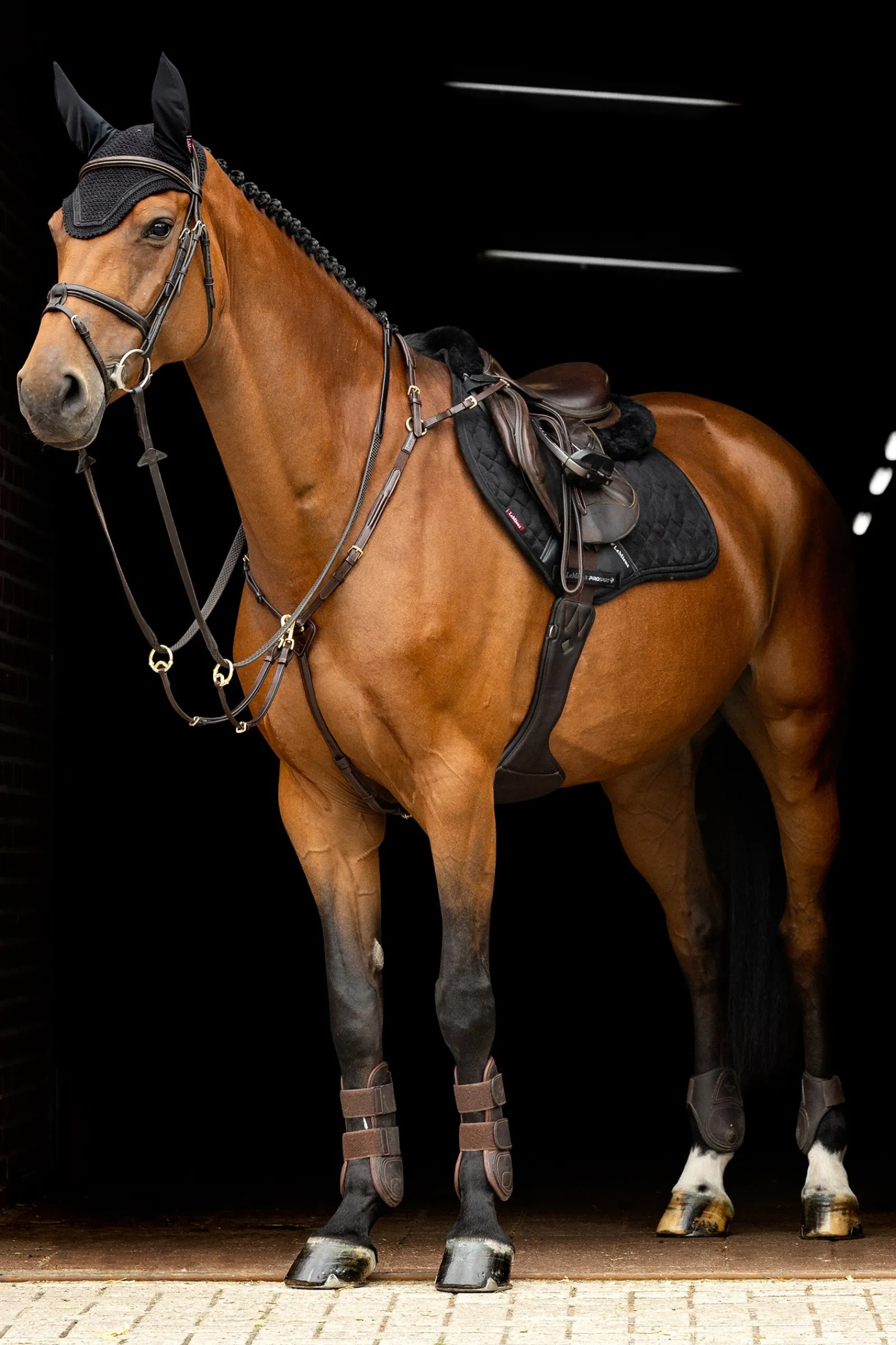 LeMieux Crystal Fliegenhaube* Ohrenhauben|Ohrenhauben