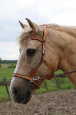 F.R.A. Freedom Riding Articles Dandy Sidepull mit Zügeln (System 3)* Trensen & Nasenriemen