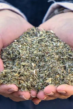 Stiefel Darmkräuter, 1kg* Ergänzungsfuttermittel Für Pferde