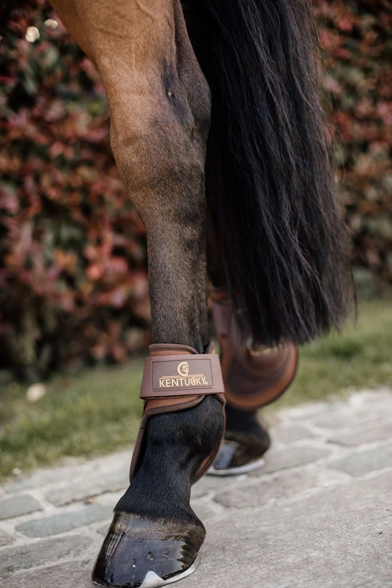 Kentucky Horsewear Deep Streichkappen* Streichkappen