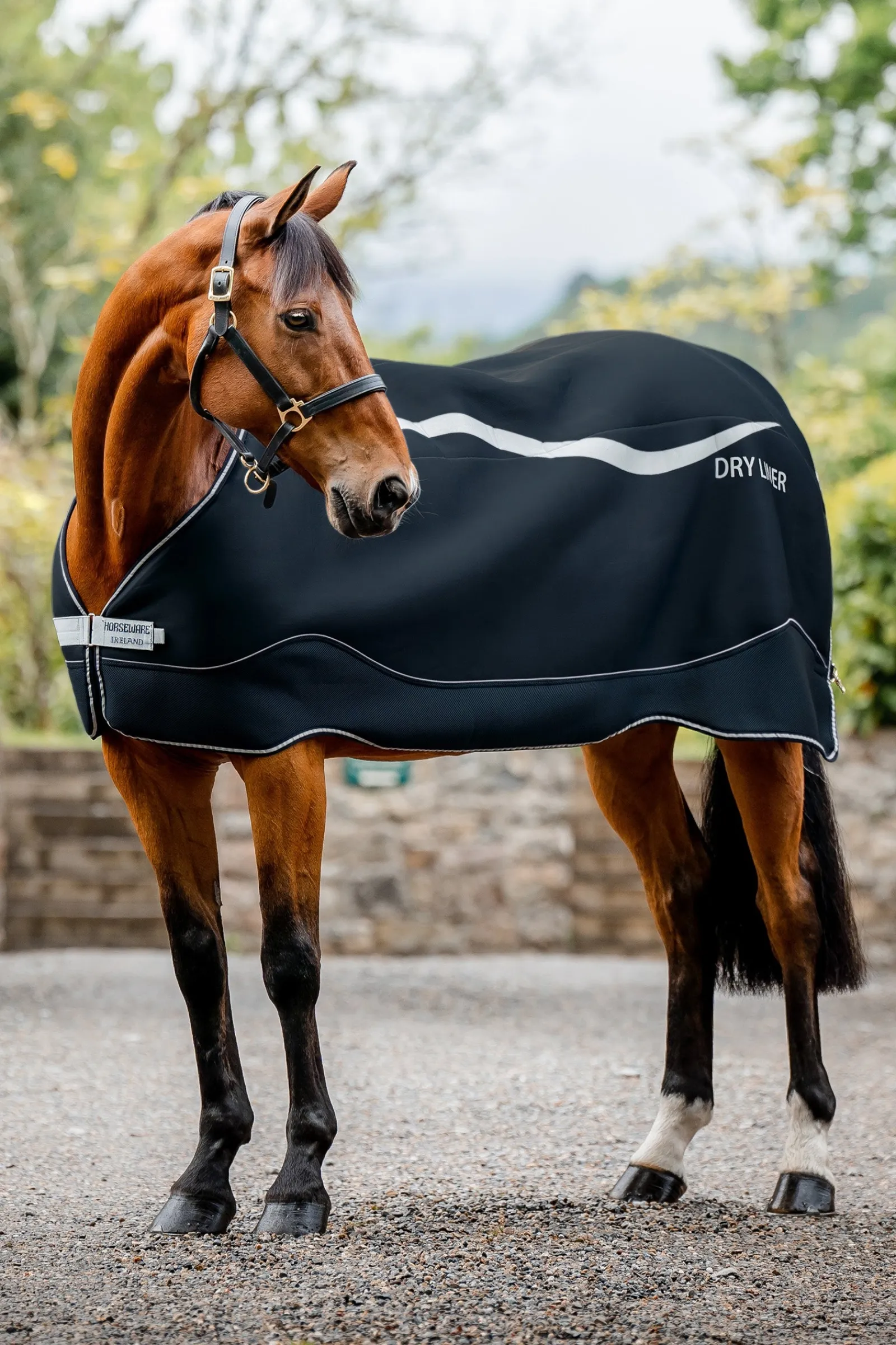 Horseware Dry Liner Unterdecke mit Abschwitzfunktion, 50 g* Stall- & Unterdecken