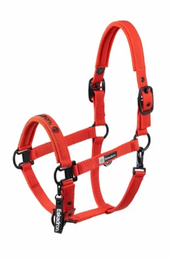Eskadron Dynamics AW25 Halfter mit Dornschnalle doppelt* Halfter