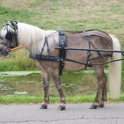 Waldhausen Einspänner Geschirr Economic Pony und Shetland* Trab- Und Rennsportausrüstung