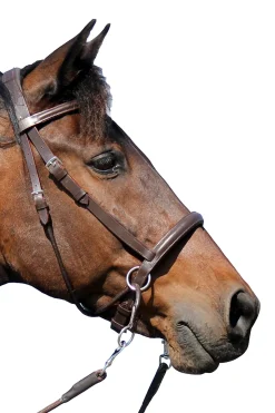 F.R.A. Freedom Riding Articles El Camin Gebissloser Zaum (System 5)* Trensen & Nasenriemen