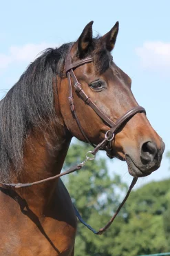F.R.A. Freedom Riding Articles El Camin Gebissloser Zaum (System 5)* Trensen & Nasenriemen