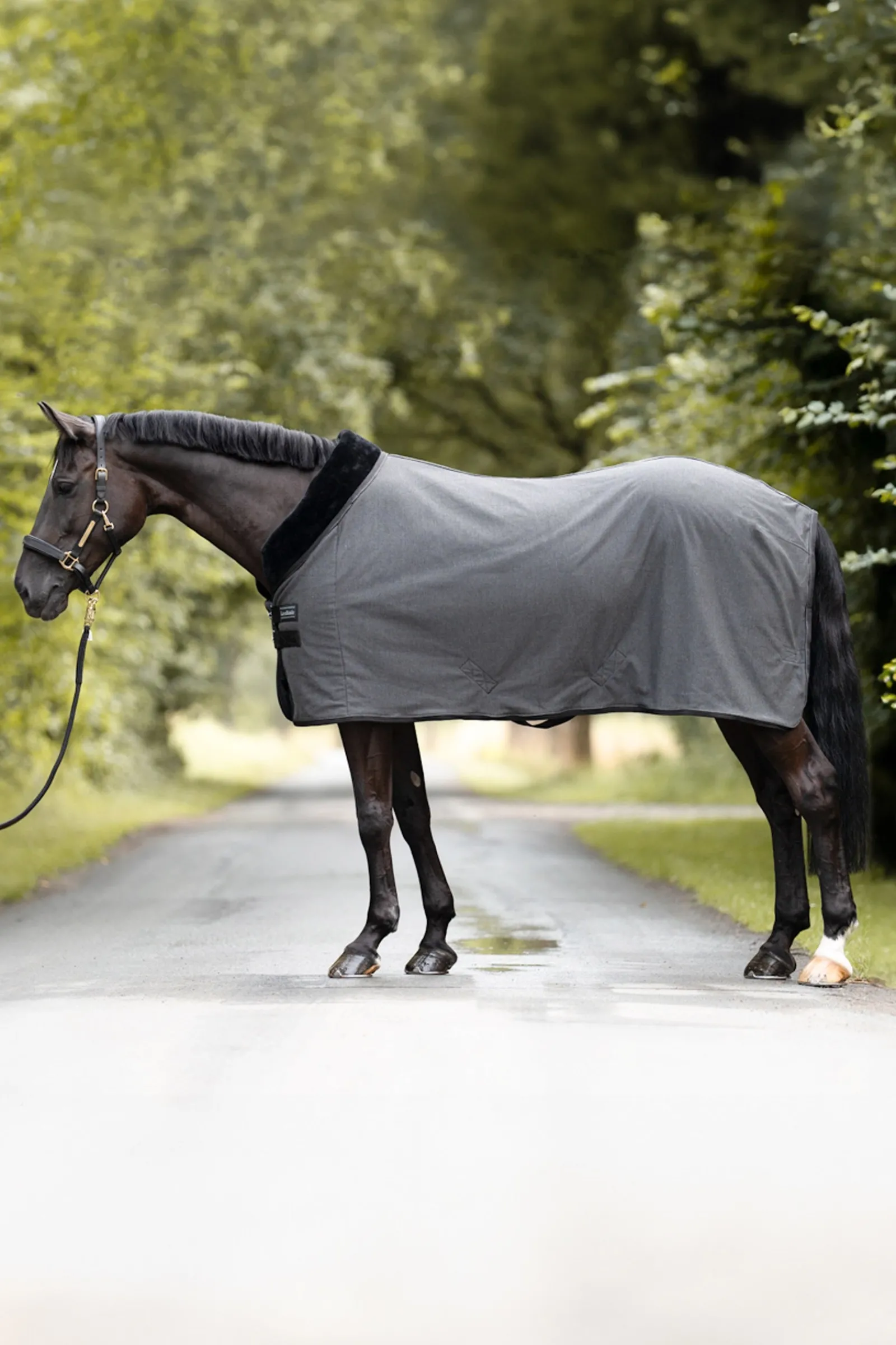 Kavalkade Elegance Transport- und Abschwitzdecke* Abschwitzdecken
