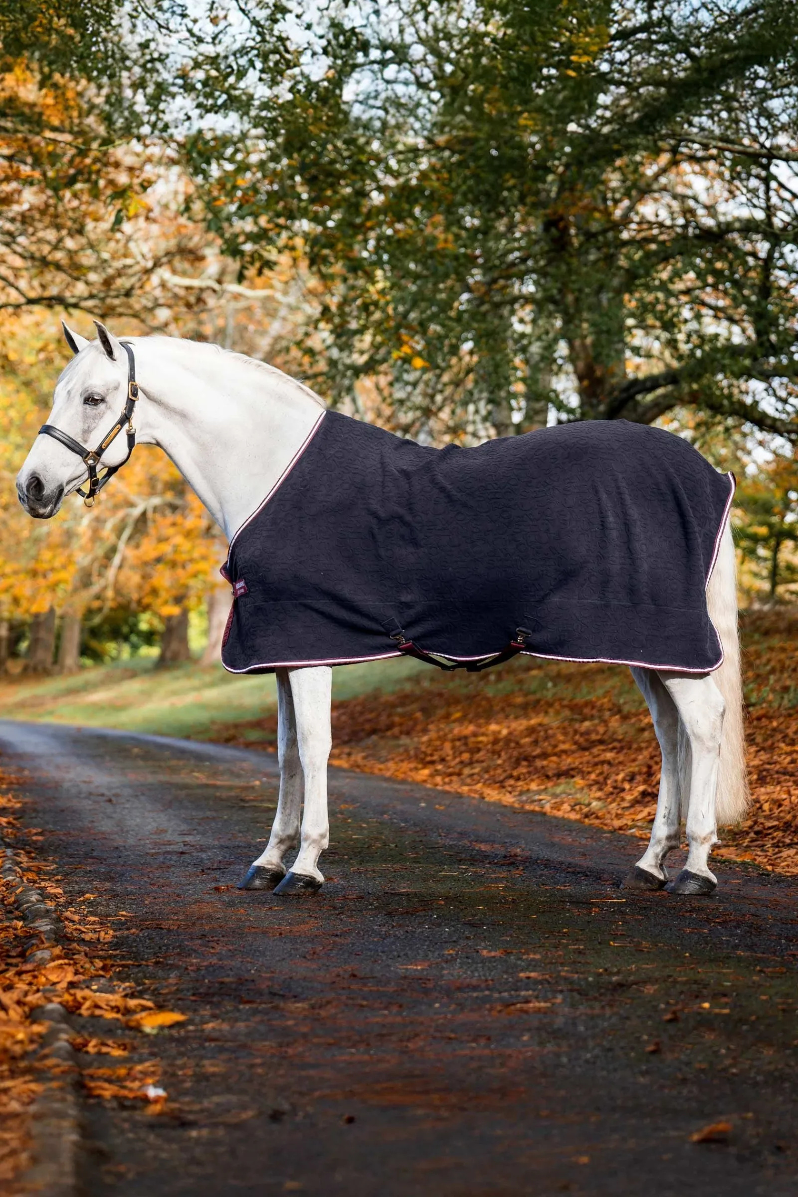 Horseware Embossed Jersey Abschwitzdecke* Abschwitzdecken