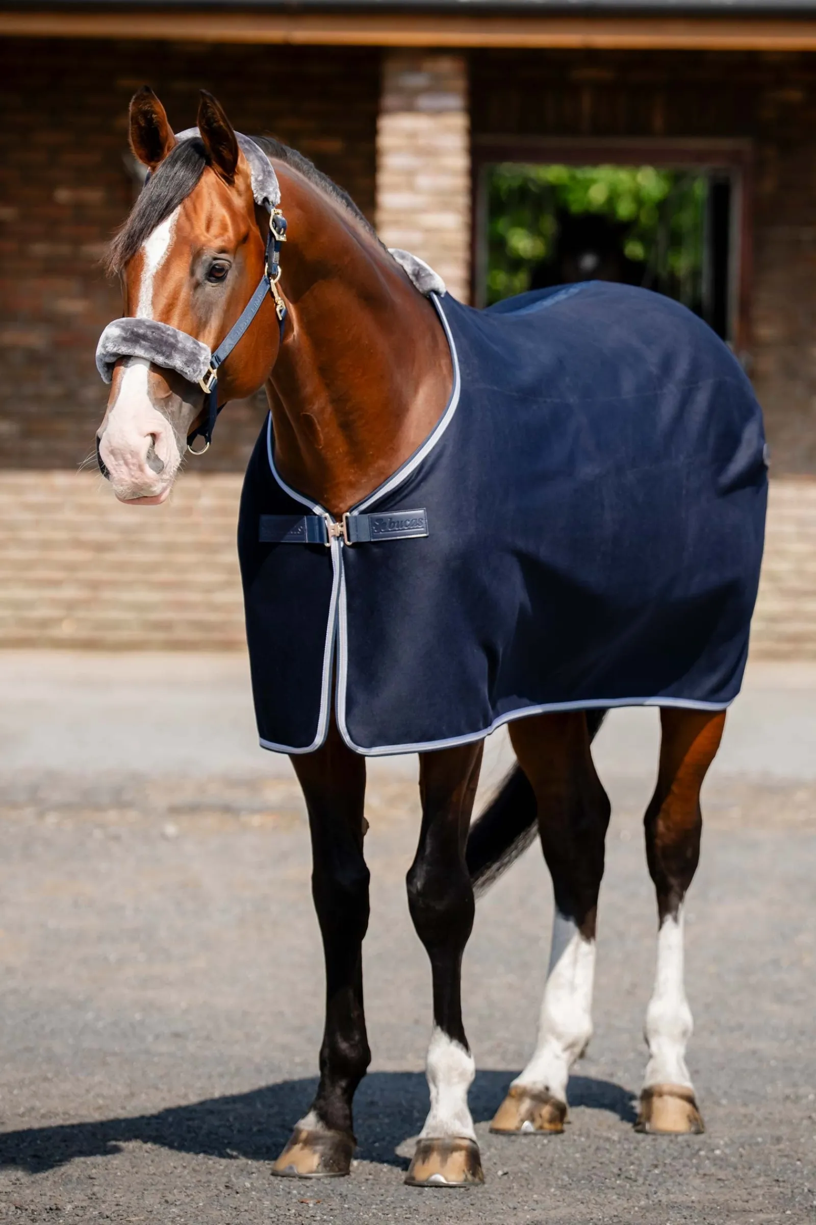 Bucas Emerald Wool Rug* Stall- & Unterdecken