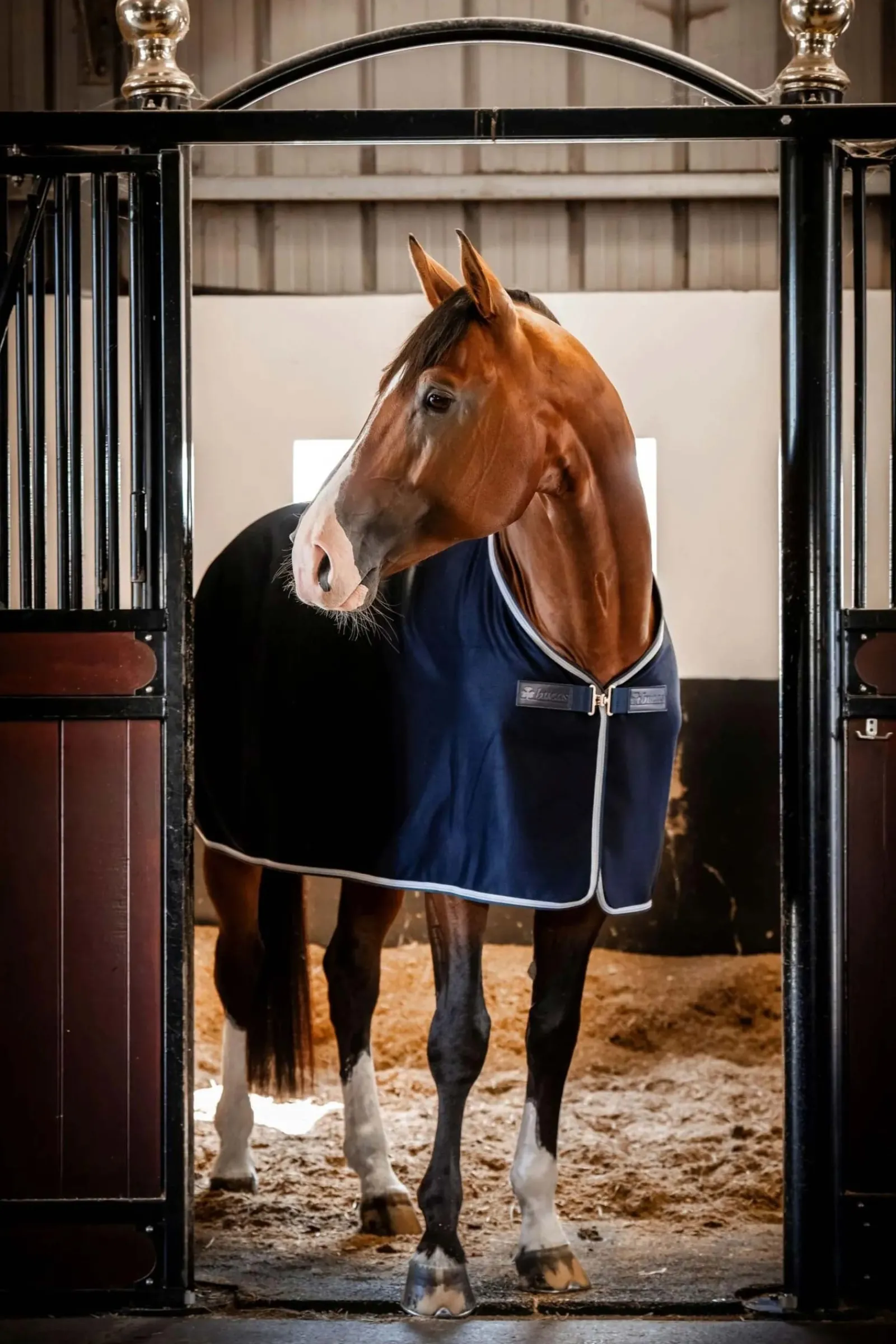 Bucas Emerald Wool Rug* Stall- & Unterdecken
