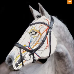 Schockemöhle Sports Equitus Alpha Trense* Trensen & Nasenriemen