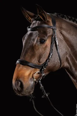 Schockemöhle Sports Equitus Delta Trense* Trensen & Nasenriemen