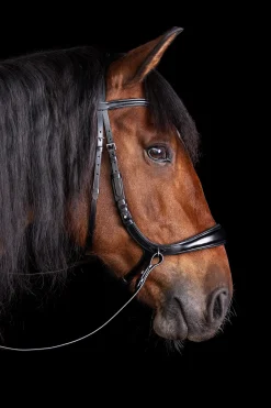 Schockemöhle Sports Equitus Theta 3in1 Trense* Trensen & Nasenriemen