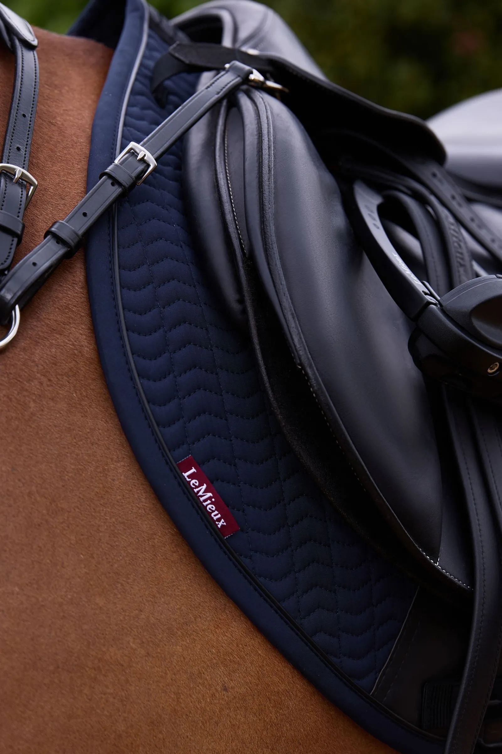 LeMieux Essence Eurojump Springschabracke* Spring- & Vielseitigkeitsschabracken