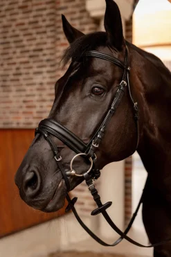 Horze Eternal Gaze Dressurtrense* Trensen & Nasenriemen