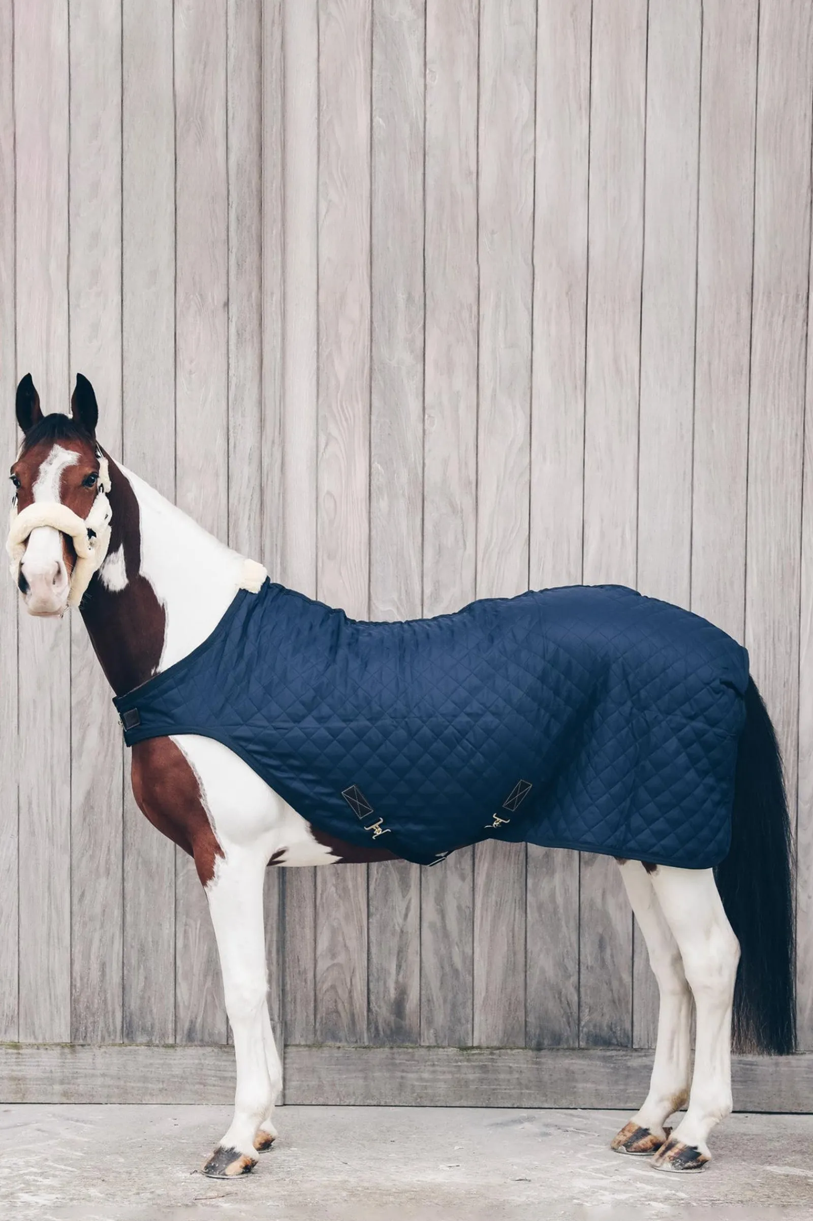 Kentucky Horsewear Führanlagendecke, 160g* Führanlagen-Decken
