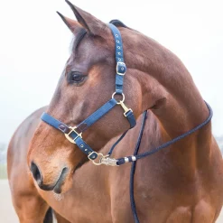 Horze Führstrick, Panikhaken* Stricke