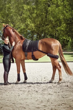 Catago FIR-Tech Trainings Vielseitigkeitsschabracke mit Elastik* Spring- & Vielseitigkeitsschabracken