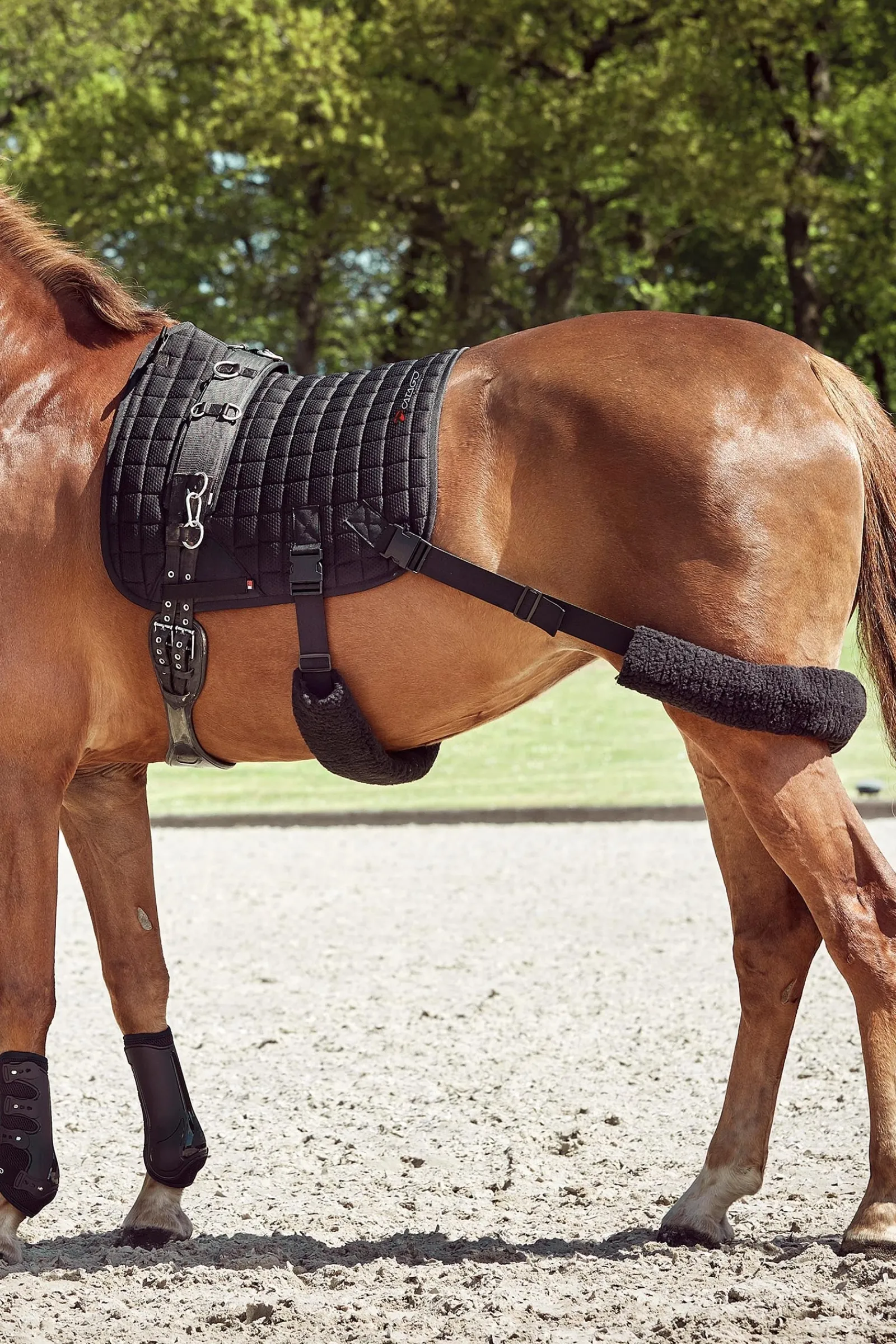 Catago FIR-Tech Trainingsschabracke mit elastischen Gurten* Dressurschabracken