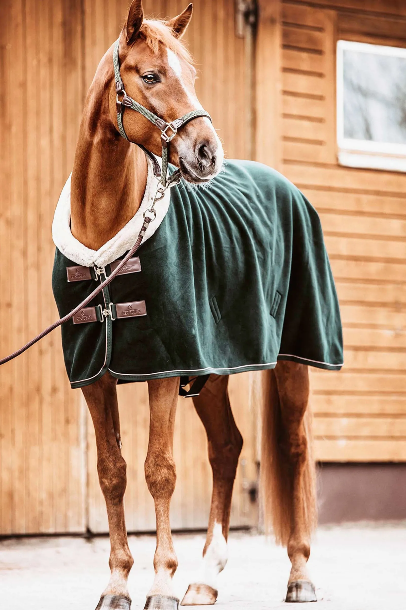 Kentucky Horsewear Fleece Turnierdecke* Abschwitzdecken