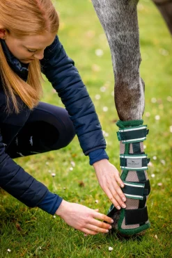 Horseware Fliegen-Gamaschen* Dressurgamaschen