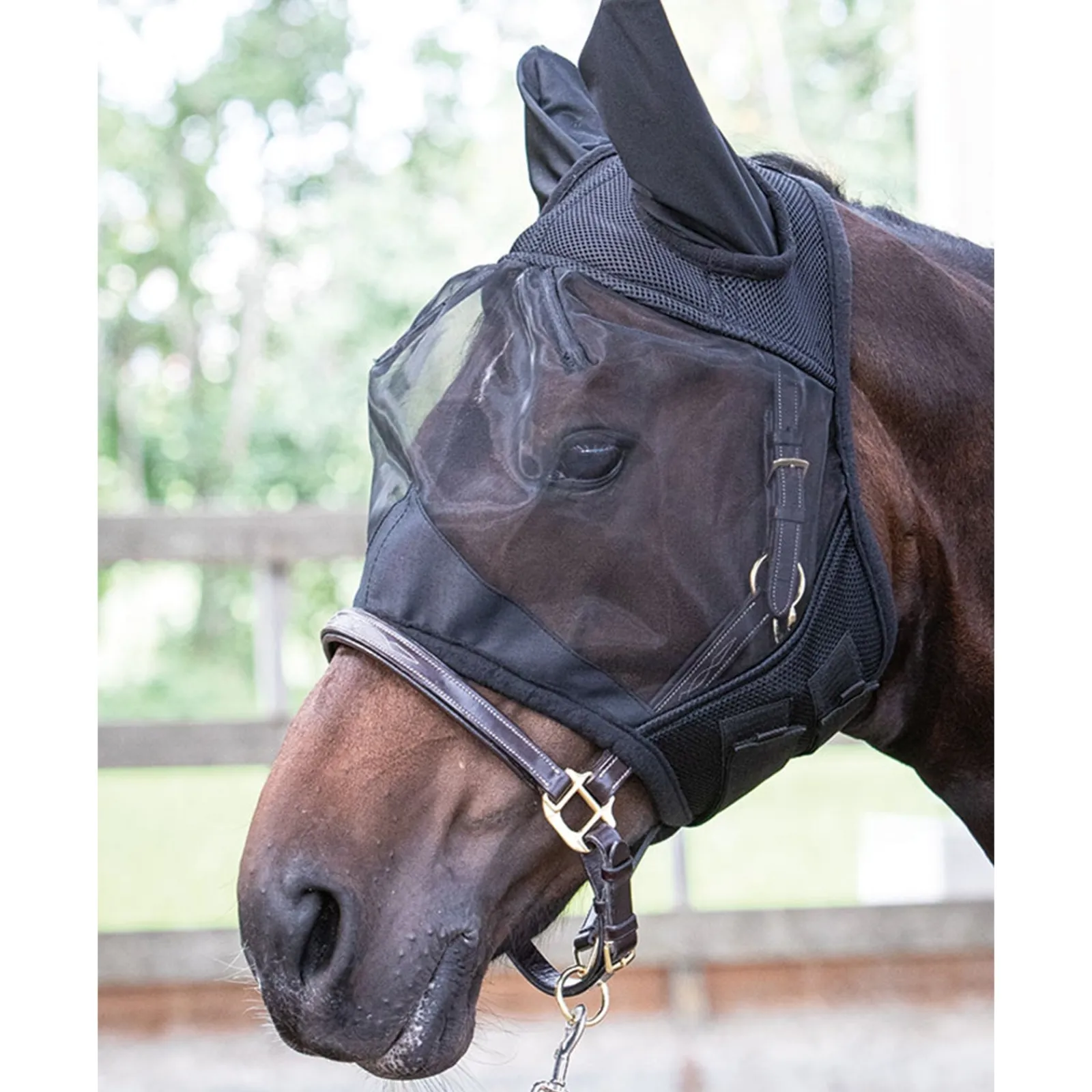 Harry's Horse Fliegenmaske Flyshield* Fliegenmasken & Fliegenfransen