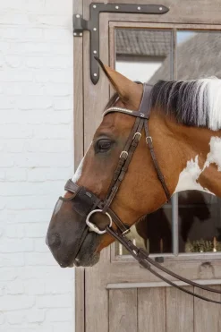Kentucky Horsewear Fliegennetz für die Nüstern* Fliegenmasken & Fliegenfransen