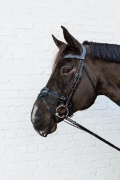 Kentucky Horsewear Fliegennetz für die Nüstern* Fliegenmasken & Fliegenfransen
