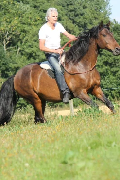 F.R.A. Freedom Riding Articles Free Reitpad, Full* Sättel