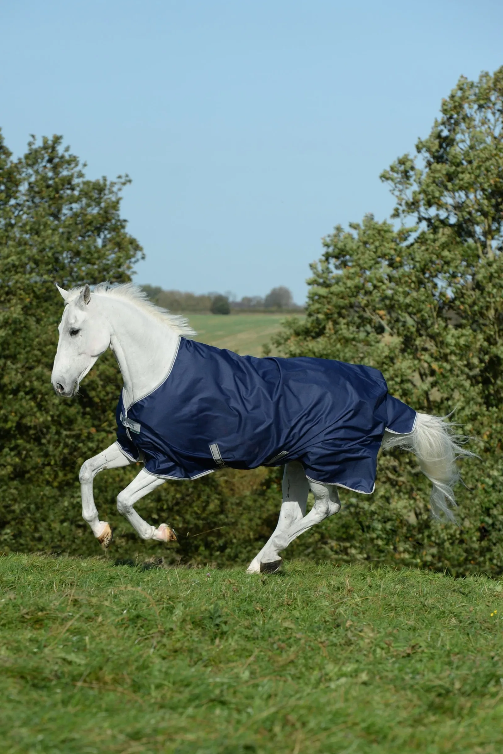 Bucas Freedom leichte Weidedecke, 0g* Leichte Weidedecken
