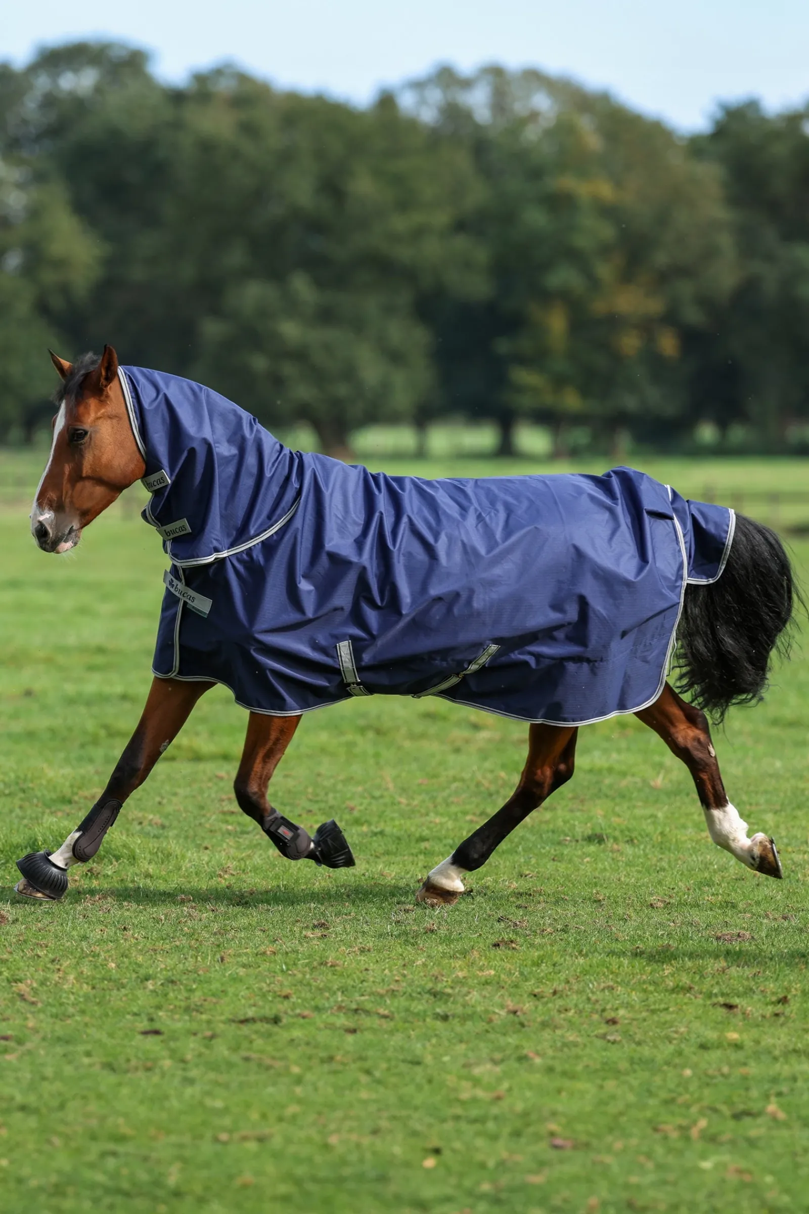 Bucas Freedom Weidedecke mit festem Halsteil (150g / 150g)* Mittelschwere & Schwere Winterdecken