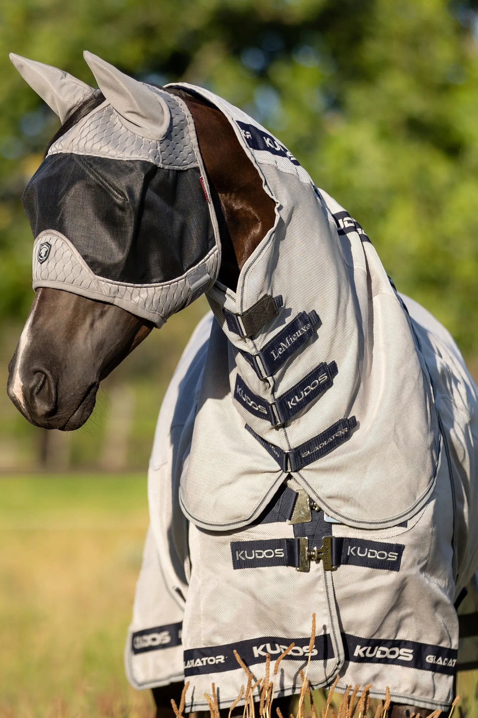 LeMieux Gladiator Fliegenmaske Halb* Fliegenmasken & Fliegenfransen