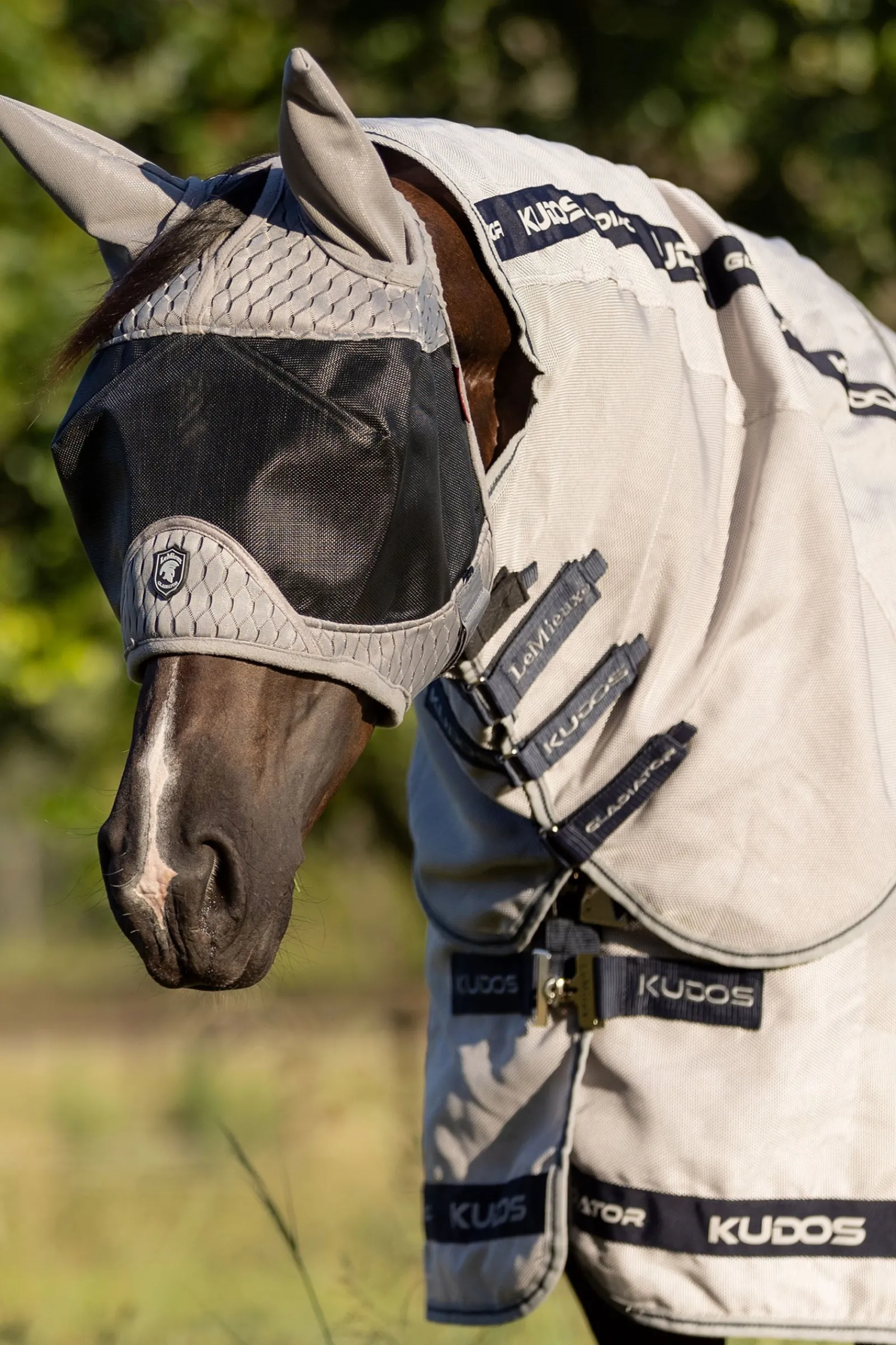LeMieux Gladiator Fliegenmaske Halb* Fliegenmasken & Fliegenfransen